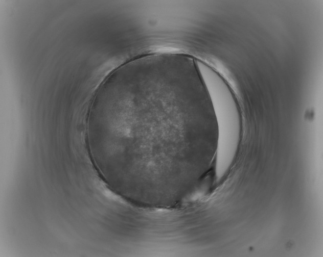 X0000092030385200709201616