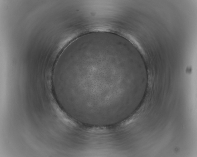 X0000092030386200709201616