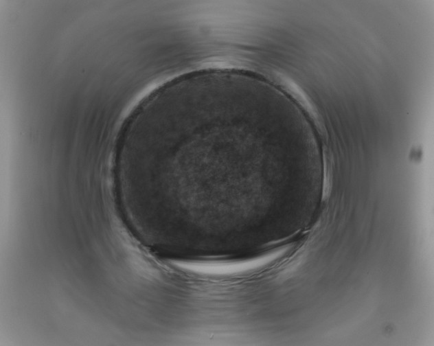 X0000092030387200709201616