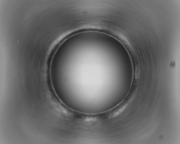 X0000092030388200709201616