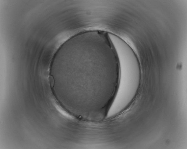 X0000092030389200709201616