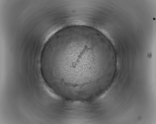 X0000092030390200709201616