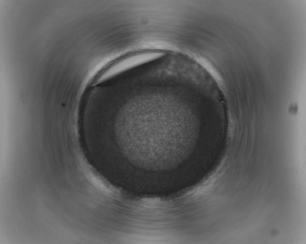 X0000092030391200709201616