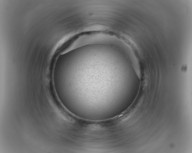 X0000092030392200709201616