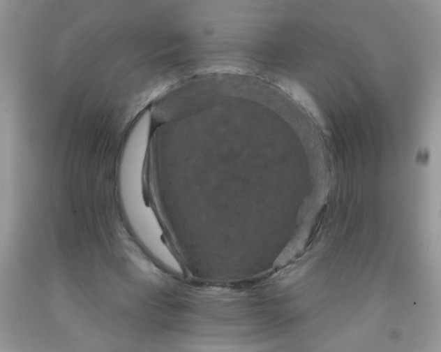 X0000092030393200709201616