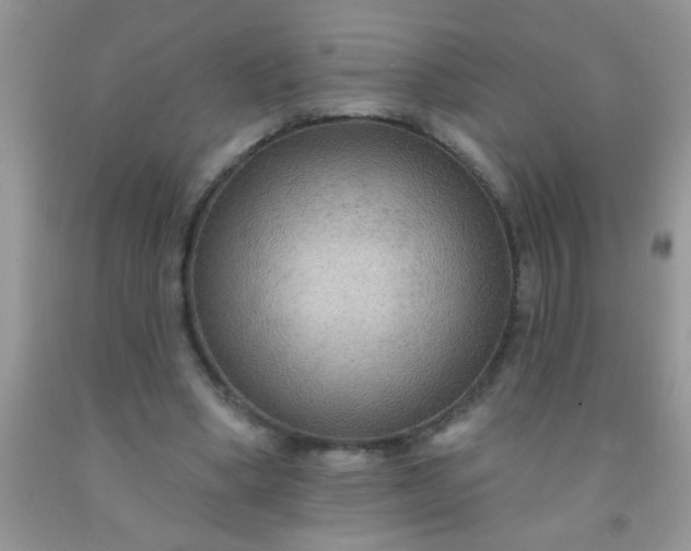 X0000092030394200709201616