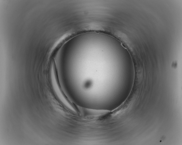 X0000092030395200709201616