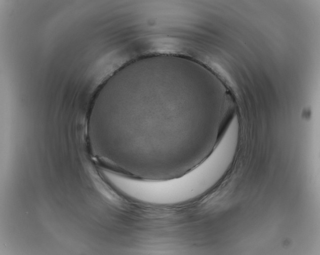 X0000092030397200709201616