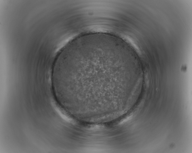 X0000092030398200709201616