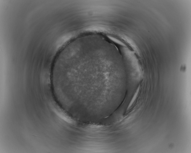 X0000092030399200709201616