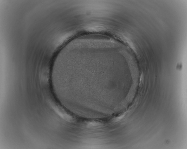 X0000092030400200709201616