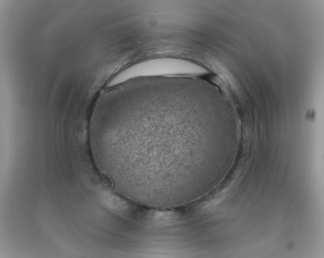 X0000092030401200709201616