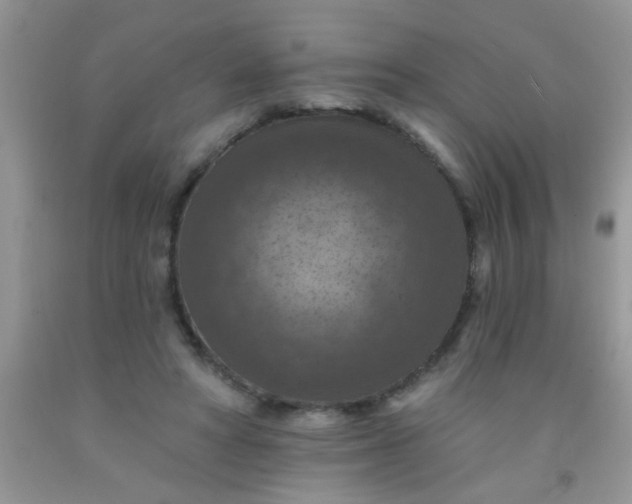 X0000092030402200709201616