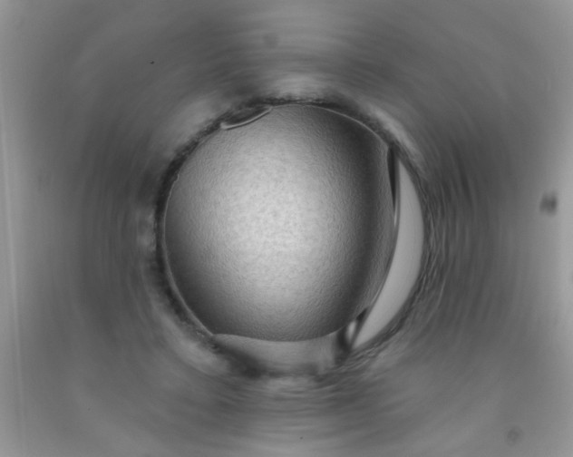 X0000092030403200709201616