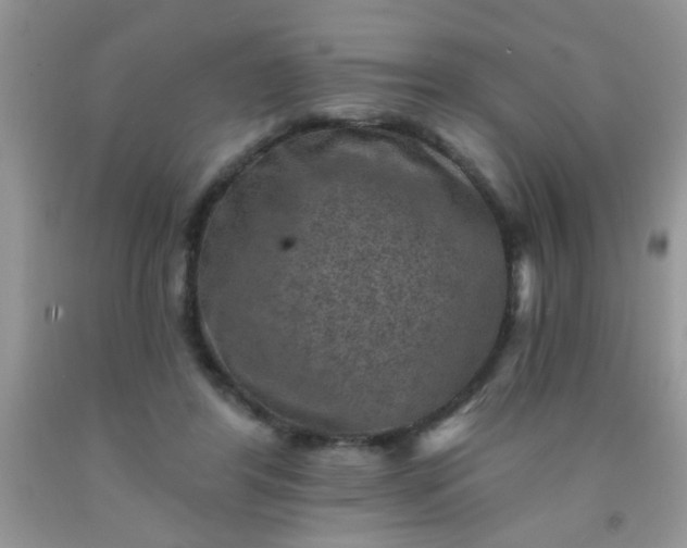 X0000092030404200709201616