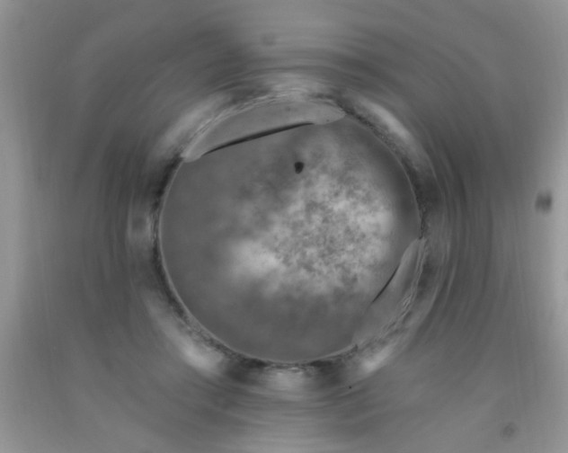 X0000092030405200709201616