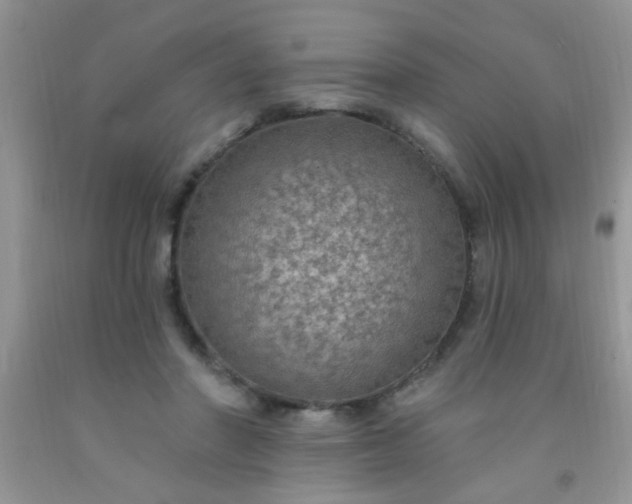 X0000092030406200709201616