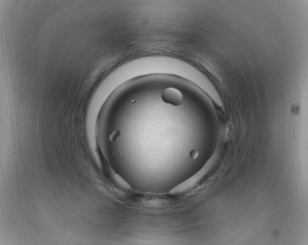 X0000092030407200709201616