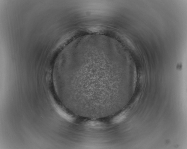 X0000092030408200709201616