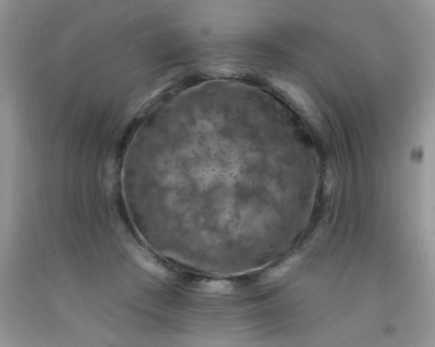 X0000092030409200709201616