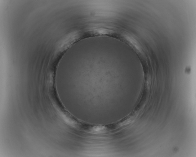 X0000092030410200709201616