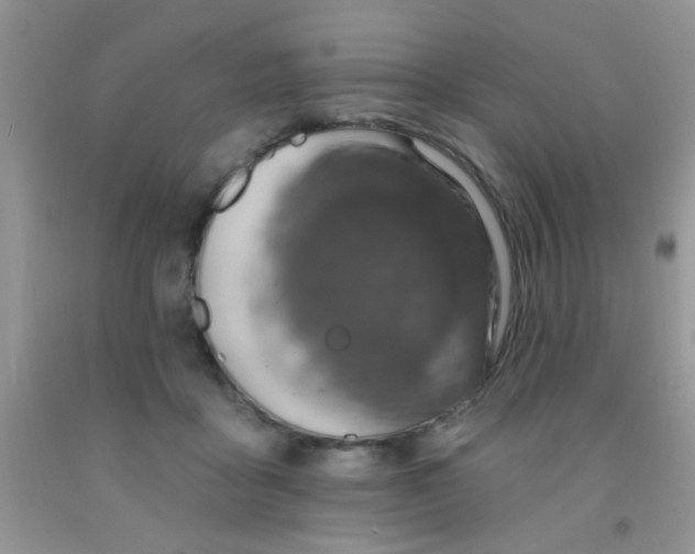 X0000092030411200709201616