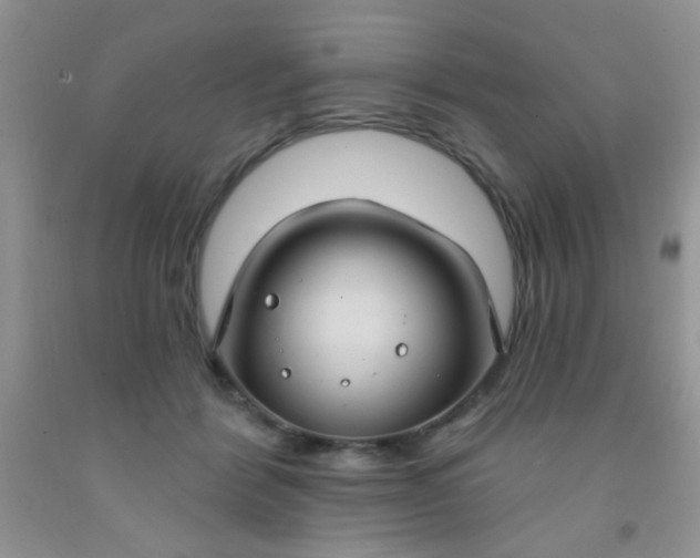 X0000092030412200709201616