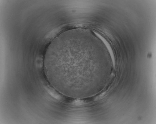 X0000092030413200709201616