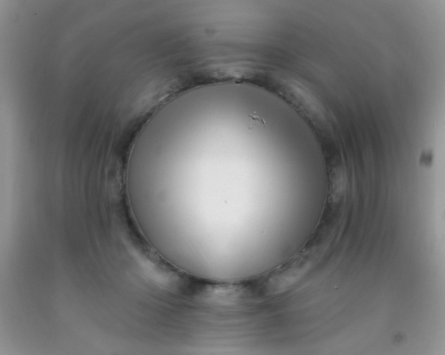 X0000092030414200709201616