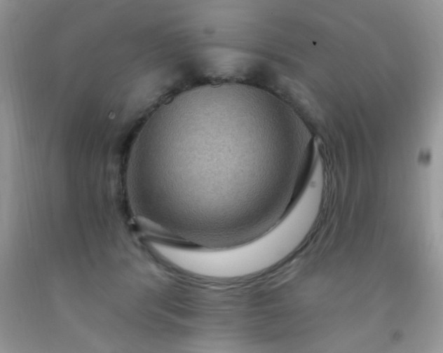 X0000092030416200709201616