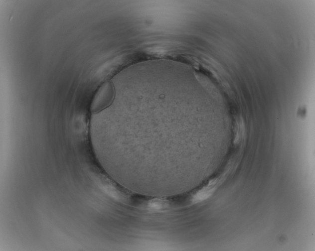 X0000092030420200709201616