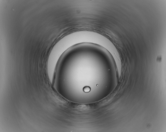 X0000092030421200709201616