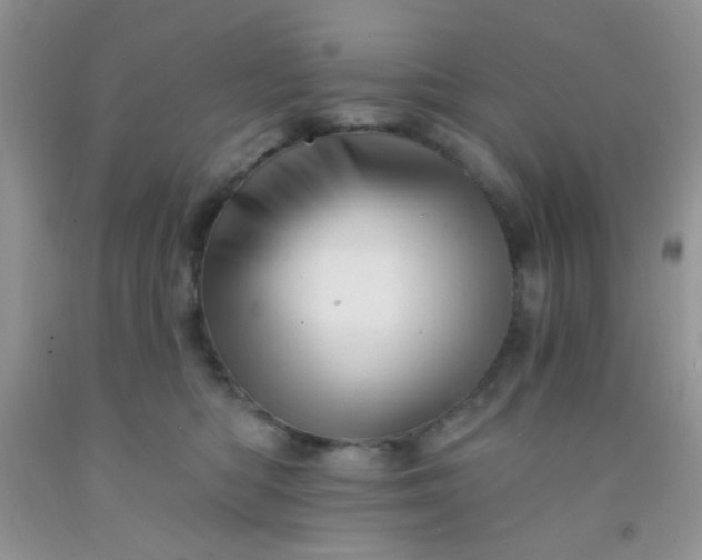 X0000092030422200709201616