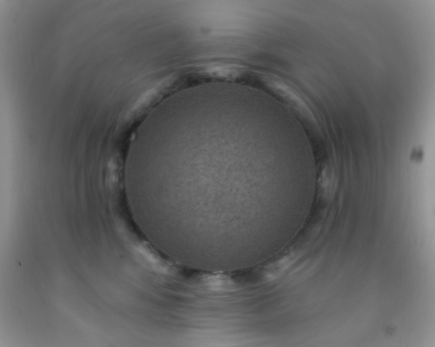 X0000092030424200709201616