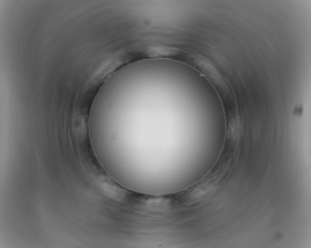 X0000092030426200709201616