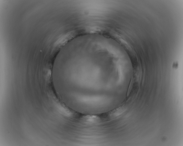 X0000092030427200709201616