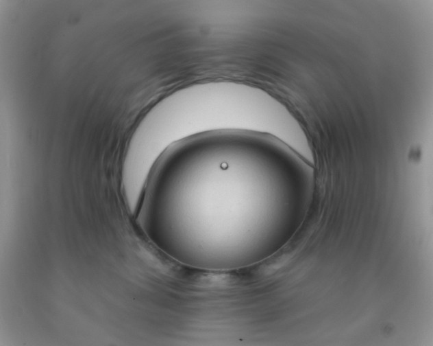 X0000092030428200709201616