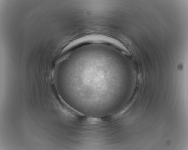 X0000092030429200709201616