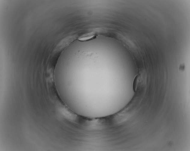 X0000092030430200709201616