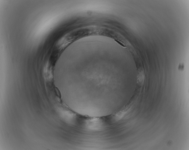 X0000092030431200709201616