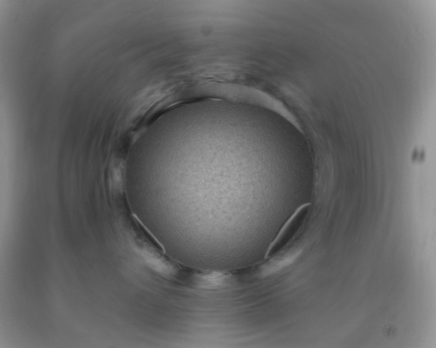 X0000092030432200709201616