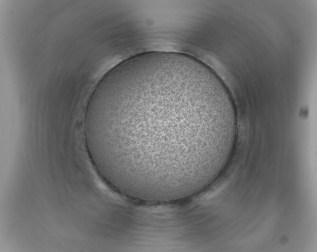 X0000092030433200709201615