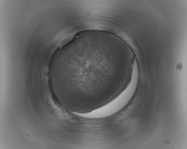 X0000092030434200709201615