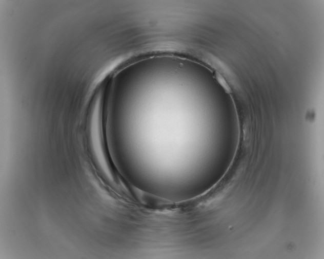 X0000092030436200709201615