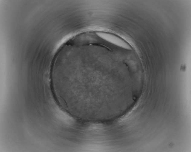 X0000092030438200709201615