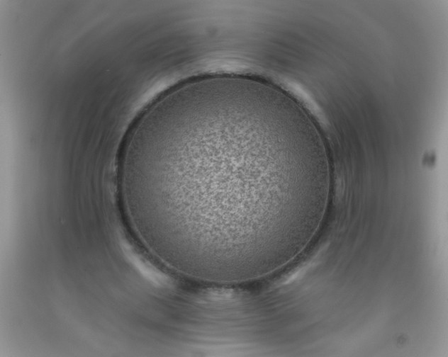 X0000092030439200709201615