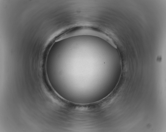 X0000092030440200709201615