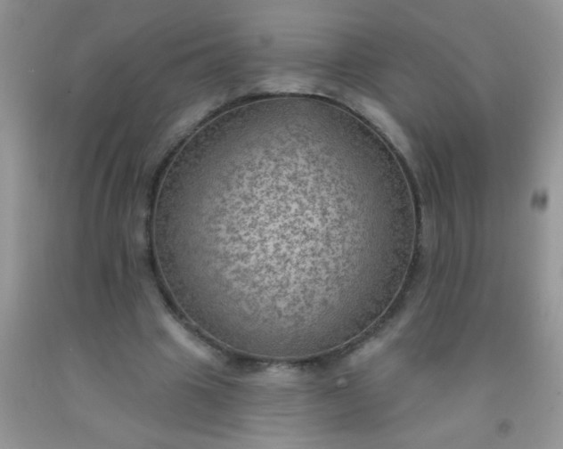 X0000092030441200709201615