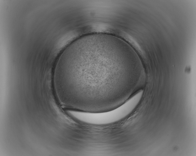 X0000092030442200709201615