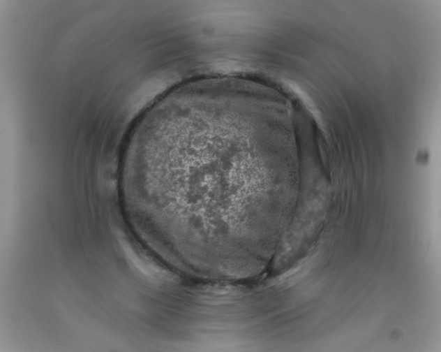 X0000092030443200709201615